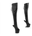 CRAZE-3019 Platform Overknee Boots - Black Matt | Pleaser