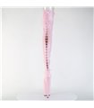 FLAMINGO-3850