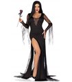 Sexy Spooky Morticia Kostüm für Halloween | Leg Avenue