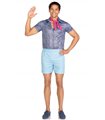 Mr. Malibu Doll